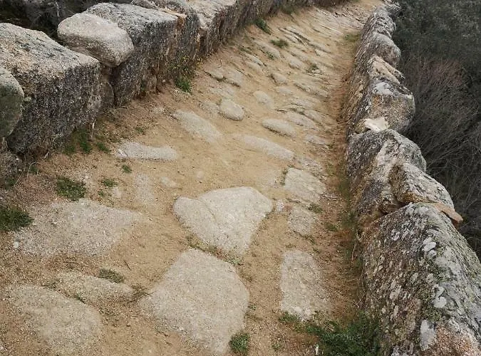 La Cantina Paredes *