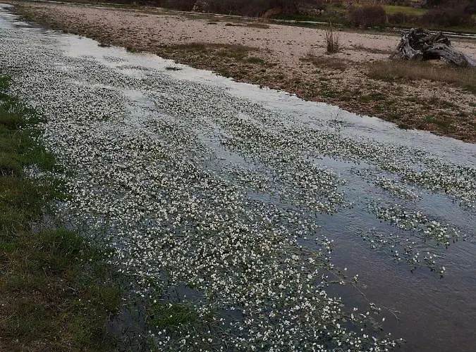 La Cantina Paredes *